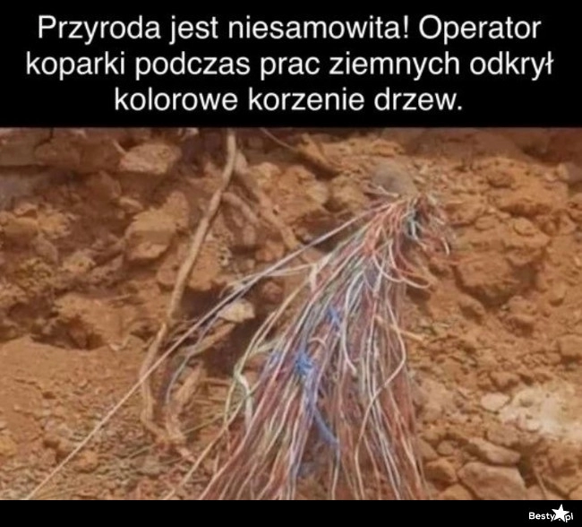 
    Przyroda jest niesamowita 