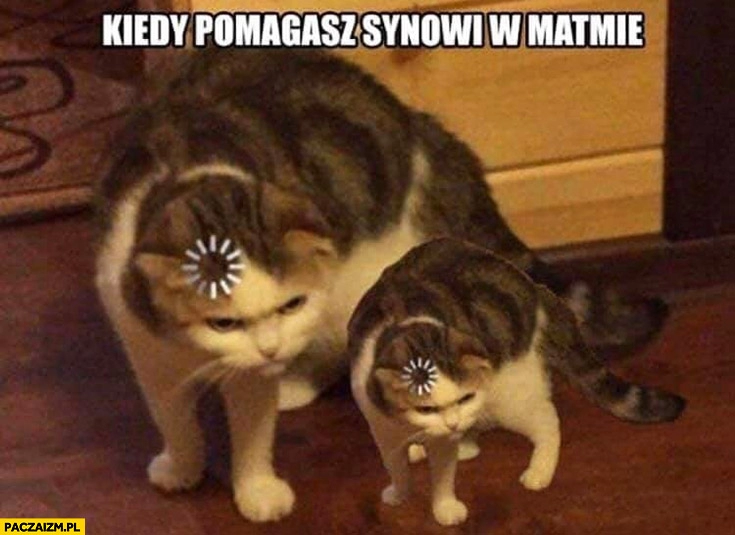 
    Kot myśli kiedy pomagasz synowi w matmie