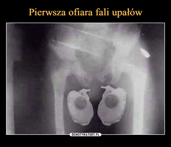 
    Pierwsza ofiara fali upałów