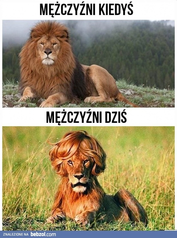 
    Mężczyźni kiedyś i mężczyźni dziś
