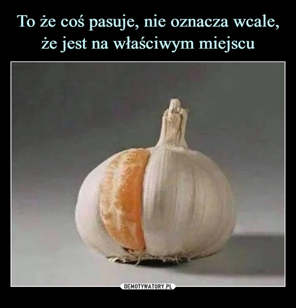 
    To że coś pasuje, nie oznacza wcale, że jest na właściwym miejscu