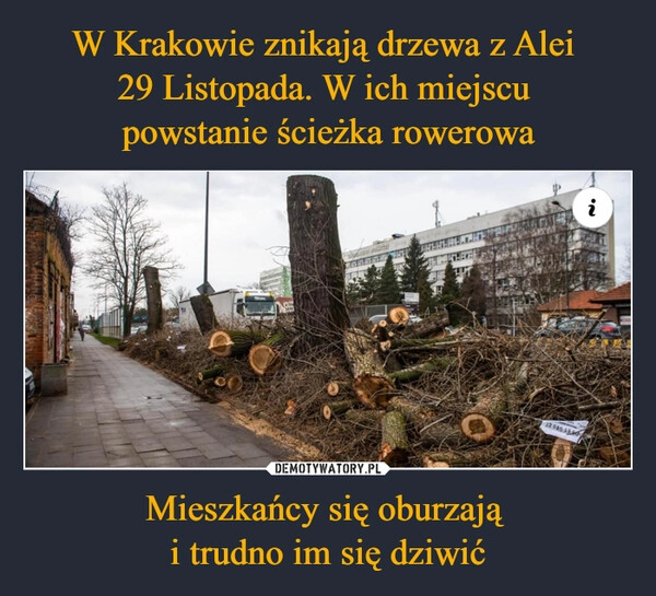 
    W Krakowie znikają drzewa z Alei 
29 Listopada. W ich miejscu 
powstanie ścieżka rowerowa Mieszkańcy się oburzają 
i trudno im się dziwić