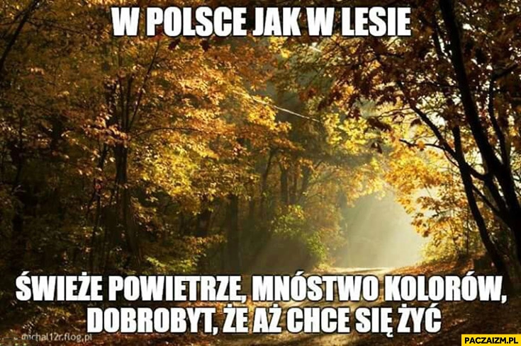 
    W Polsce jak w lesie świeże powietrze, mnóstwo kolorów, dobrobyt że aż chce się żyć