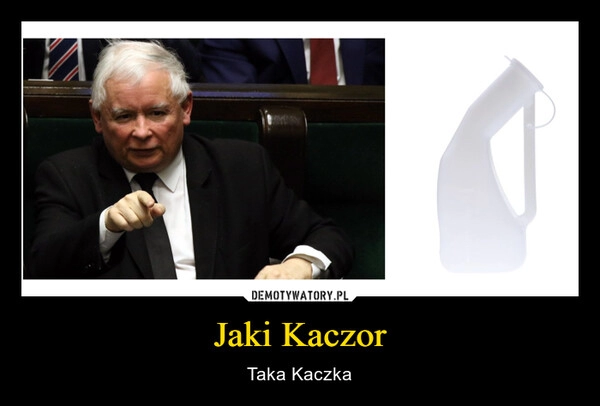 
    Jaki Kaczor