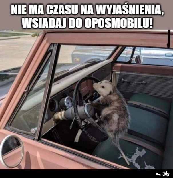 
    Nie ma czasu na wyjaśnienia 