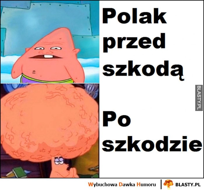 
    Polak przed szkodą vs Polak po szkodzie mózg porównanie Spongebob