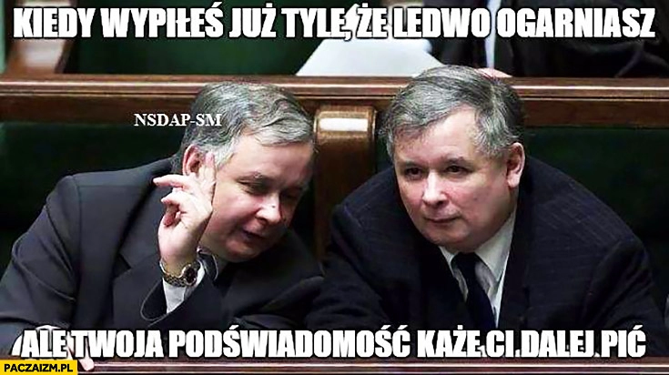 
    Kiedy wypiłeś już tyle, że ledwo ogarniasz, ale Twoja podświadomość każe Ci dalej pić Lech Jarosław Kaczynski