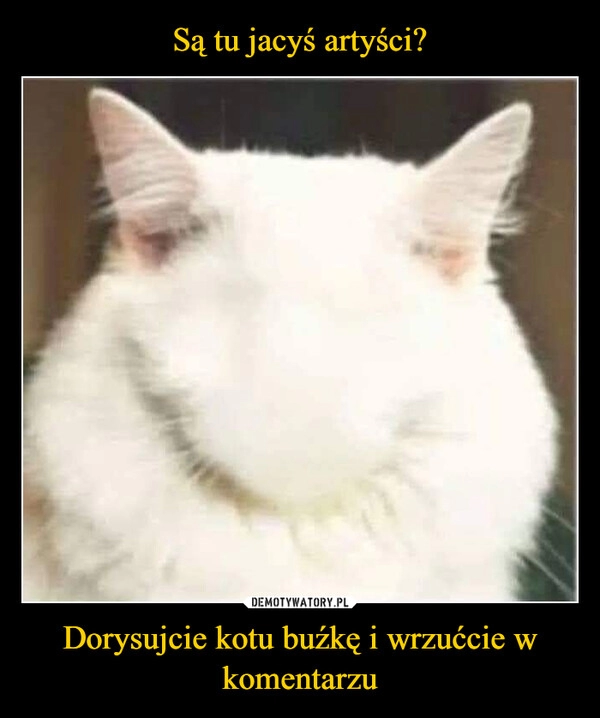 
    Są tu jacyś artyści? Dorysujcie kotu buźkę i wrzućcie w komentarzu