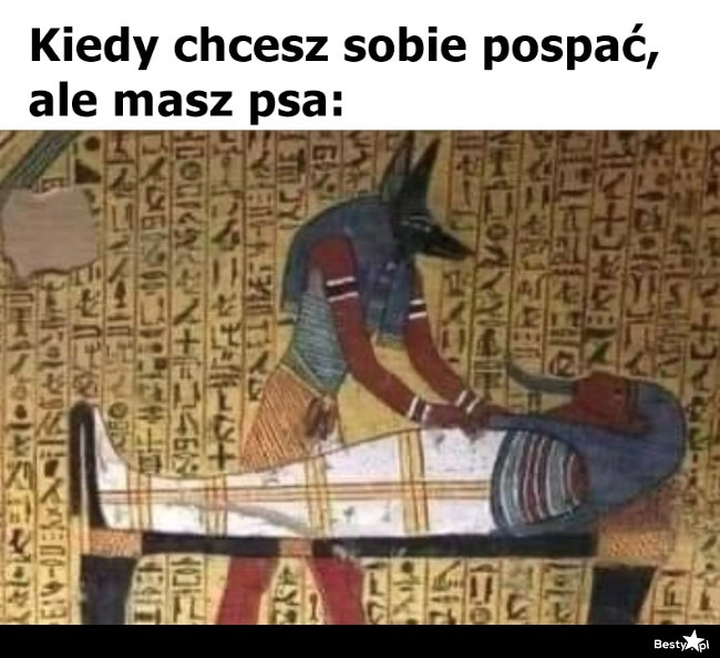 
    Wstawaj, musimy iść na spacer 