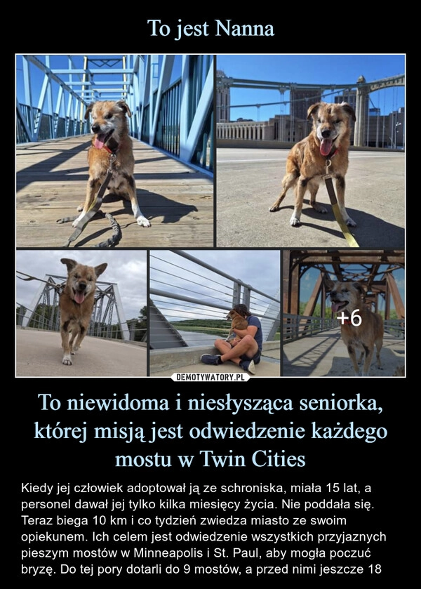 
    To jest Nanna To niewidoma i niesłysząca seniorka, której misją jest odwiedzenie każdego mostu w Twin Cities