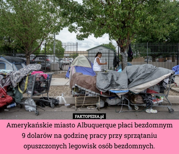 
    Amerykańskie miasto Albuquerque płaci bezdomnym 9 dolarów na godzinę pracy