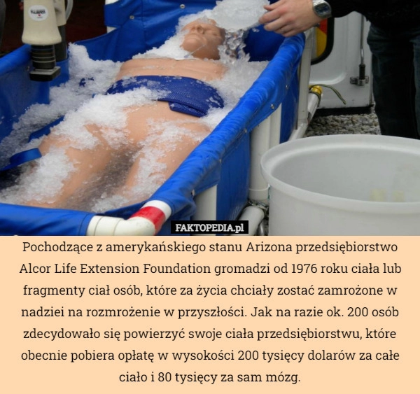 
    Pochodzące z amerykańskiego stanu Arizona przedsiębiorstwo Alcor Life Extension