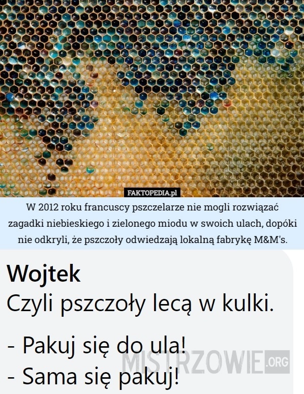 
    Pszczoły