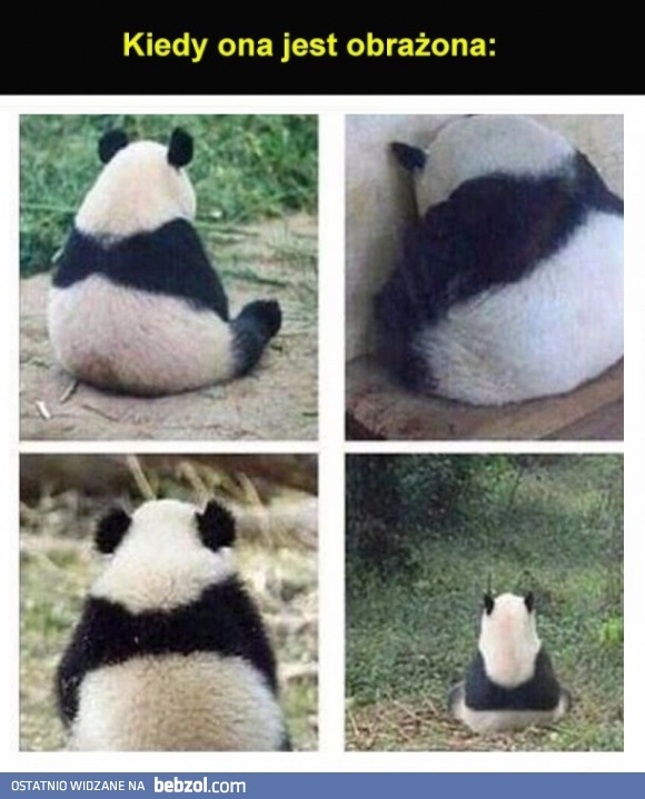 
    Kiedy jest obrażona 