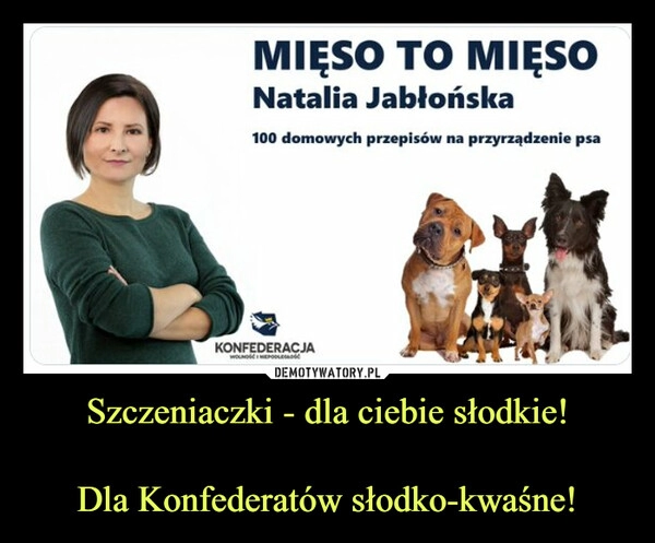 
    Szczeniaczki - dla ciebie słodkie!

Dla Konfederatów słodko-kwaśne!