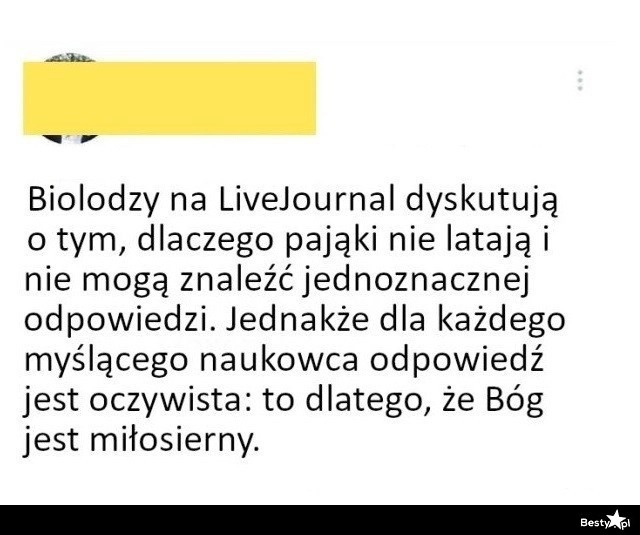 
    Dlaczego pająki nie latają? 