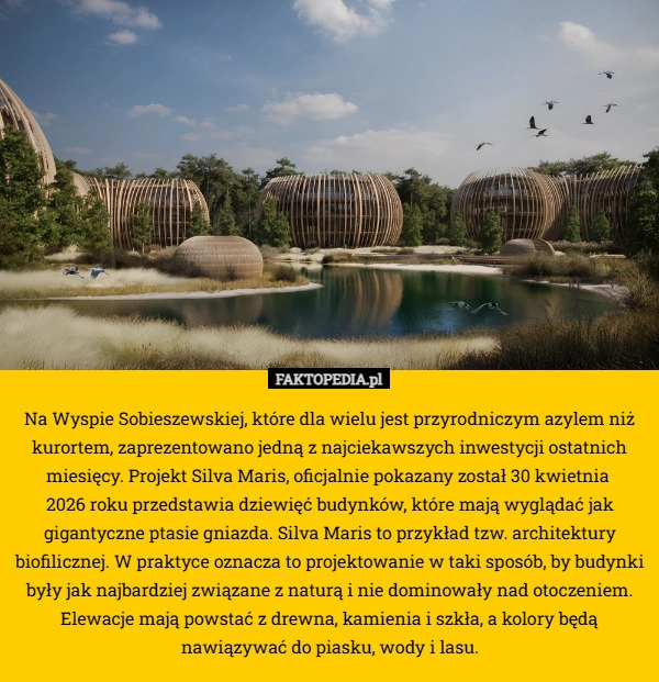 
    Na Wyspie Sobieszewskiej, które dla wielu jest przyrodniczym azylem niż