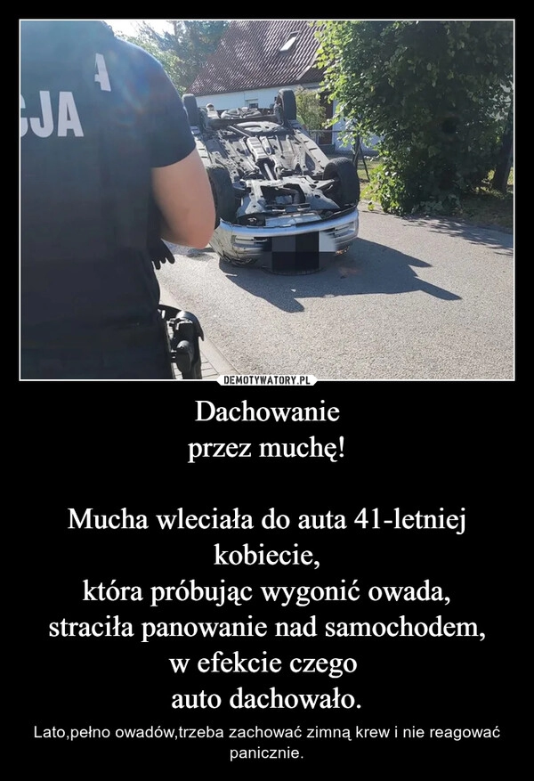 
    Dachowanie
przez muchę!

Mucha wleciała do auta 41-letniej kobiecie,
która próbując wygonić owada,
straciła panowanie nad samochodem,
w efekcie czego 
auto dachowało.