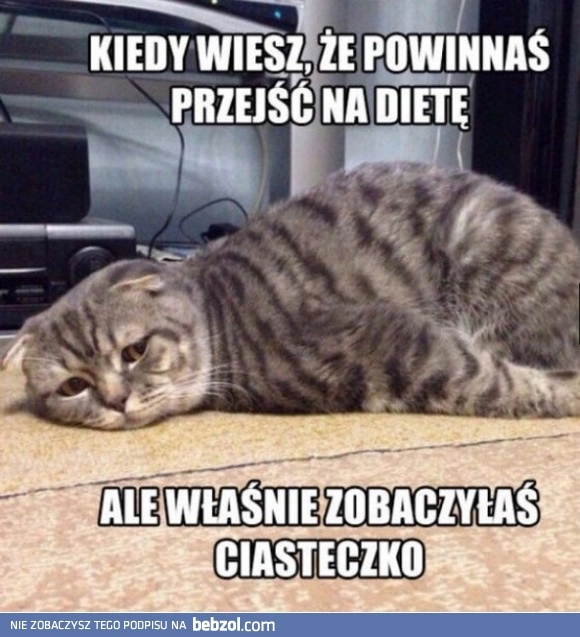 
    Kiedy wiesz, że powinnaś przejść na dietę, ale....