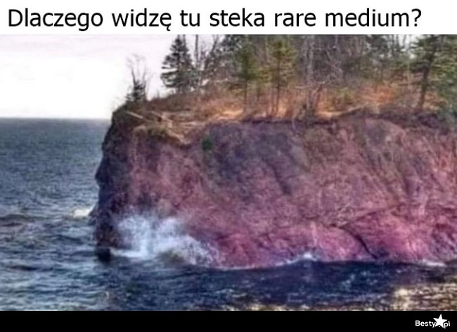 
    Prawie jak stek 