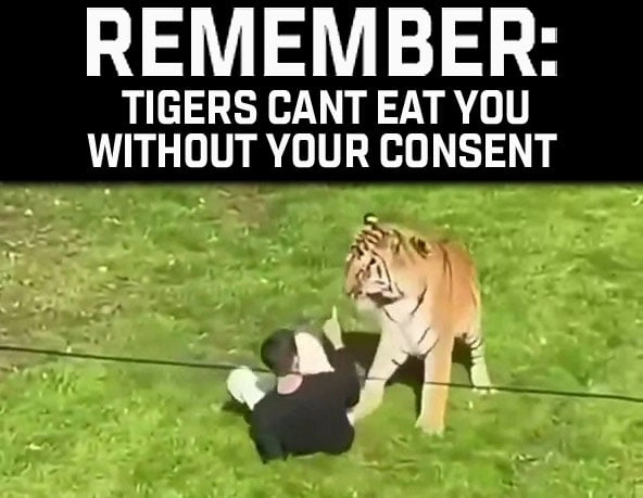 
    Too bad tigers dont know laws