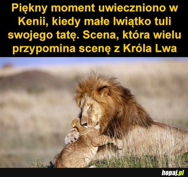 
    Piękny moment