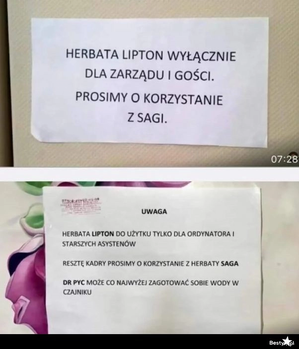 
    Lipton jest dla zarządu, Areczku 