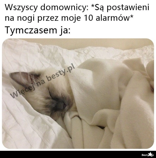 
    Nic nie słyszę 