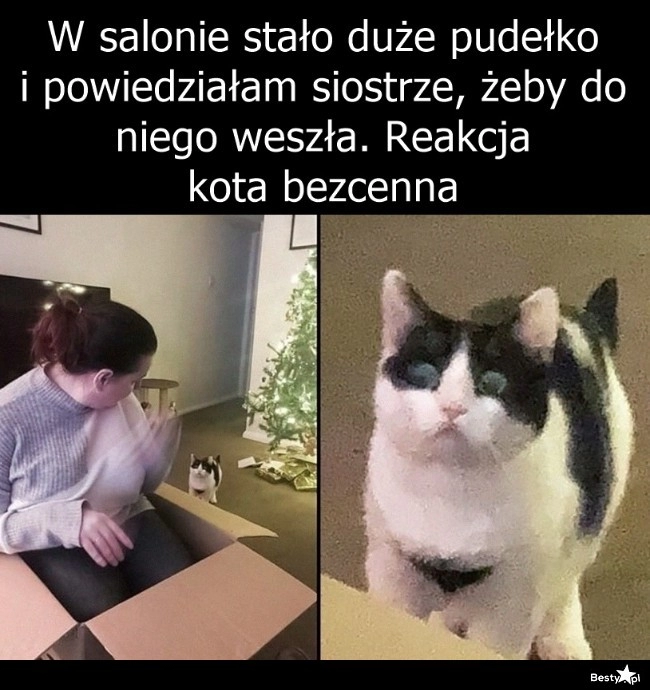 
    Przechwyt pudełka 