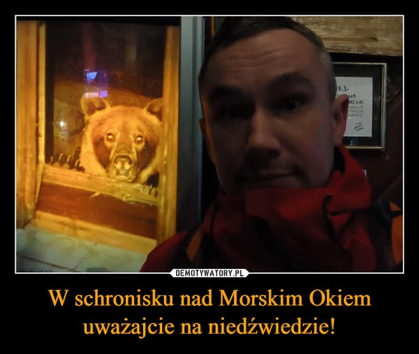 
    W schronisku nad Morskim Okiem uważajcie na niedźwiedzie!