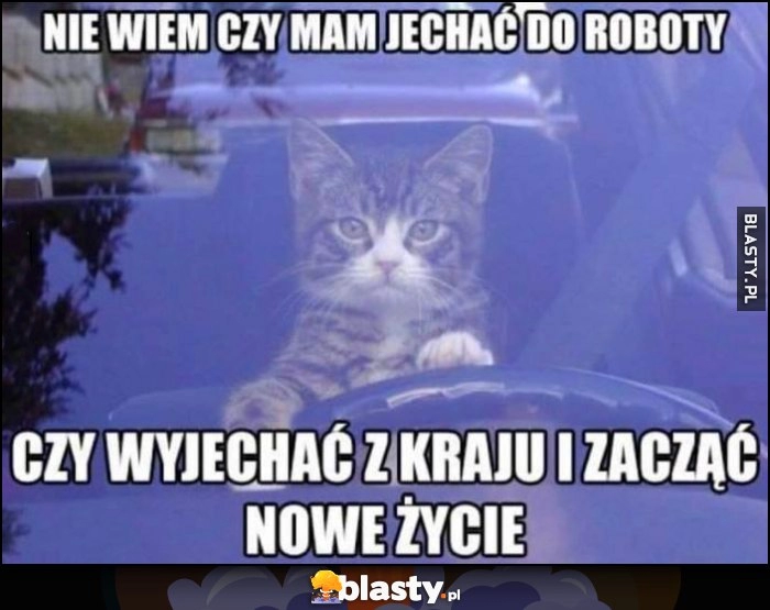 
    Kot kierowca nie wiem czy mam jechać do roboty czy wyjechać z kraju i zacząć nowe życie