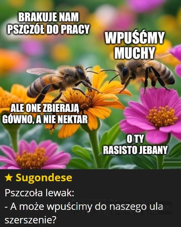 
    Pszczoły