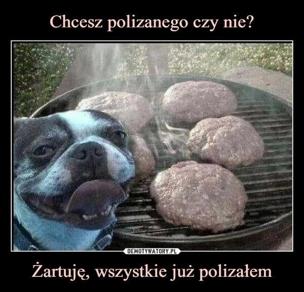 
    Chcesz polizanego czy nie? Żartuję, wszystkie już polizałem