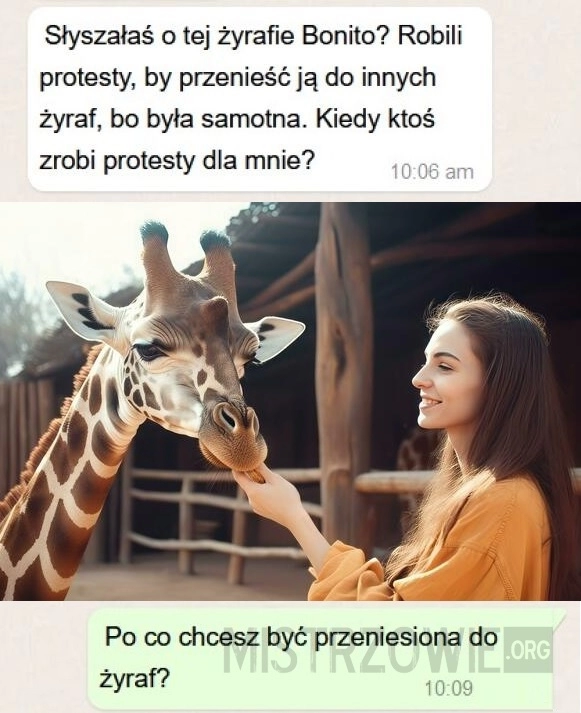 
    Żyrafa