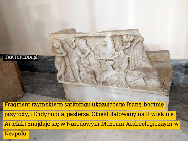 
    Fragment rzymskiego sarkofagu ukazującego Dianę, boginię przyrody, i