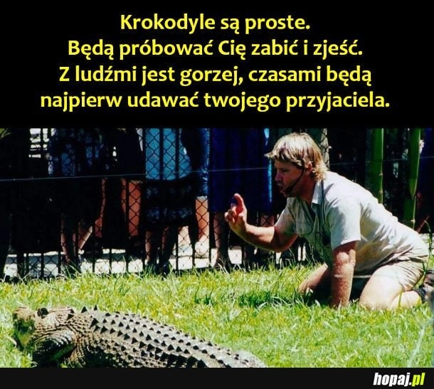 
     Krokodyle