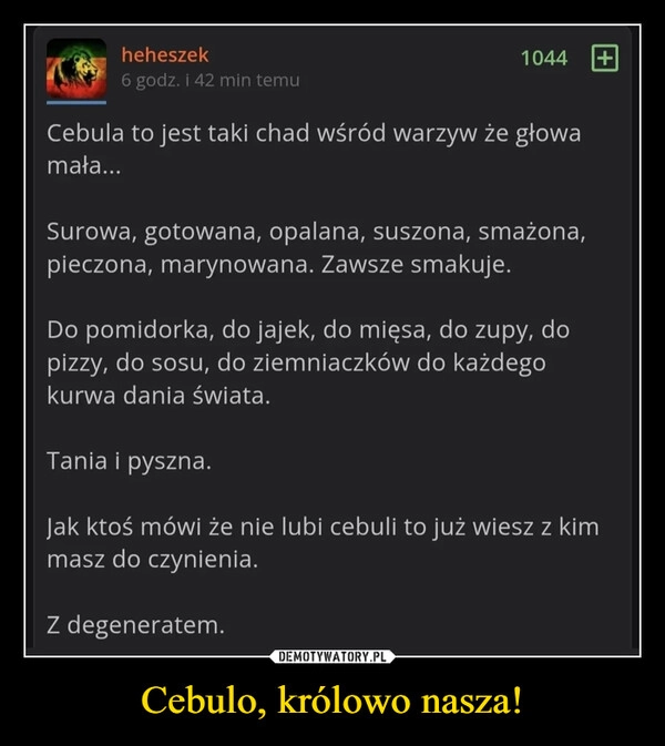 
    Cebulo, królowo nasza!