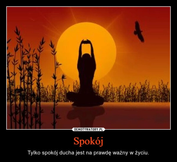 
    
Spokój 