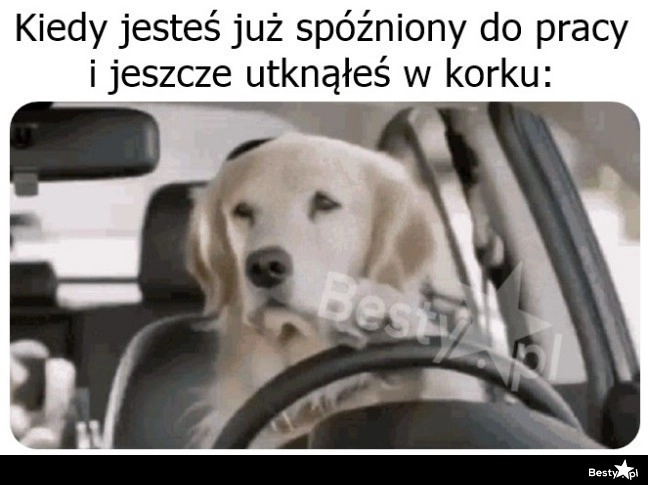 
    Gorzej być nie może 