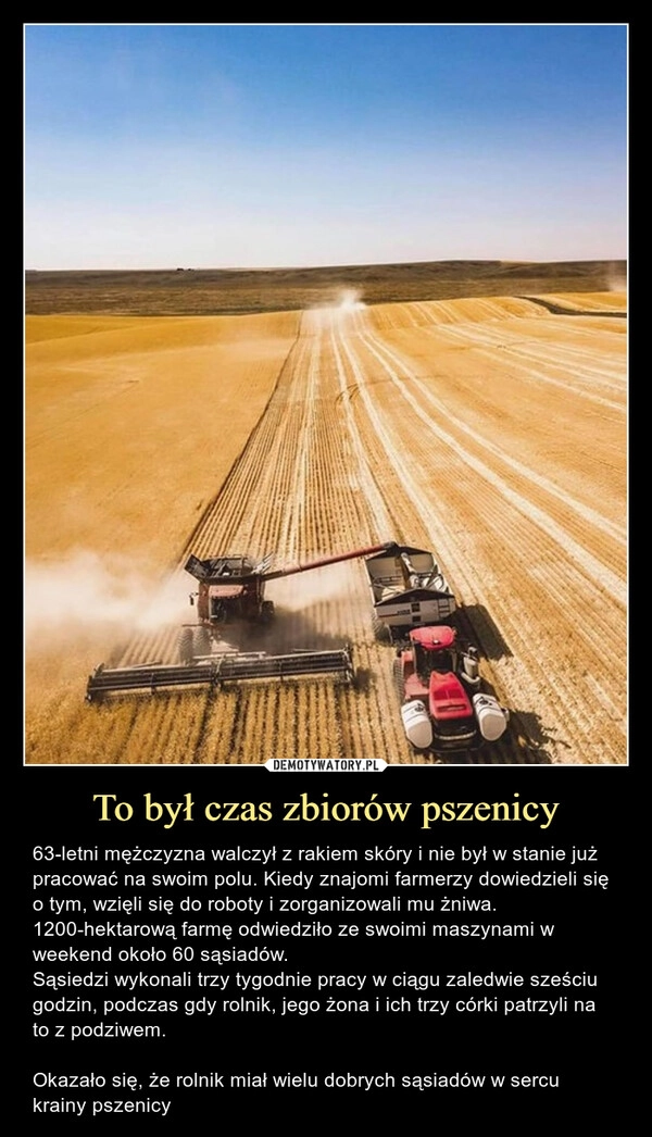 
    To był czas zbiorów pszenicy