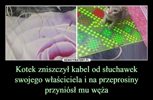 
    Kotek zniszczył kabel od słuchawek swojego właściciela i na przeprosiny przyniósł mu węża