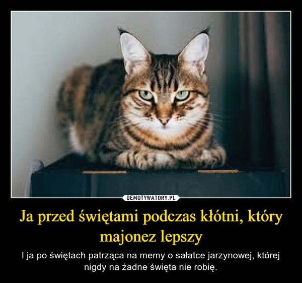 
    Ja przed świętami podczas kłótni, który majonez lepszy