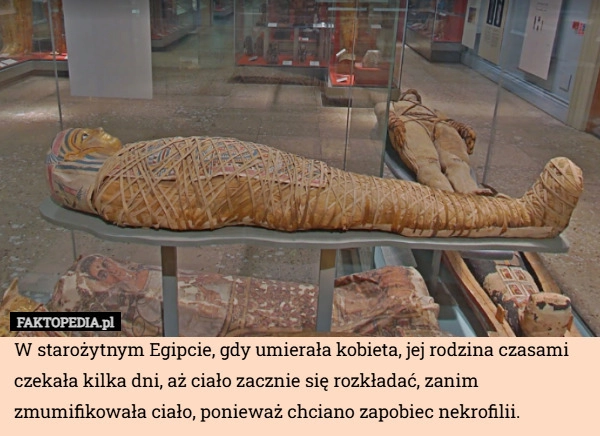
    W starożytnym Egipcie, gdy umierała kobieta, jej rodzina czasami czekała