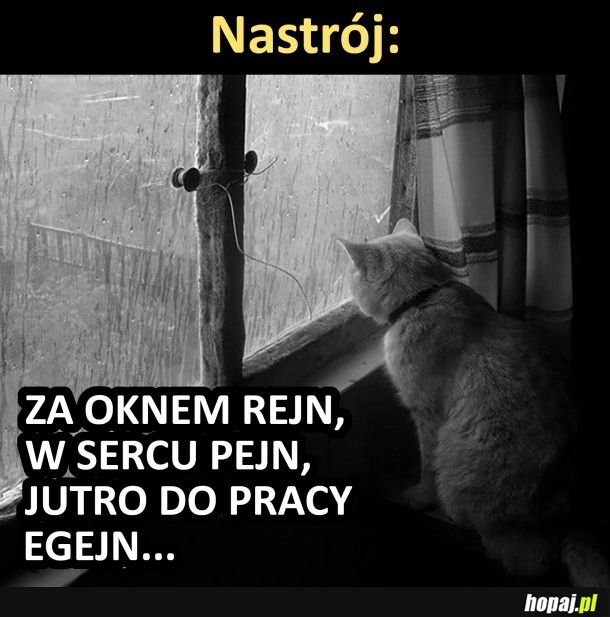 
    Niedziela wieczór i humor zepsuty