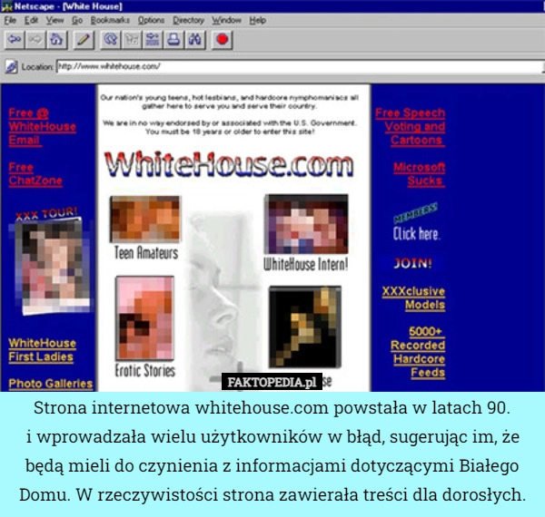 
    Strona internetowa whitehouse.com powstała w latach 90.
i wprowadzała wielu