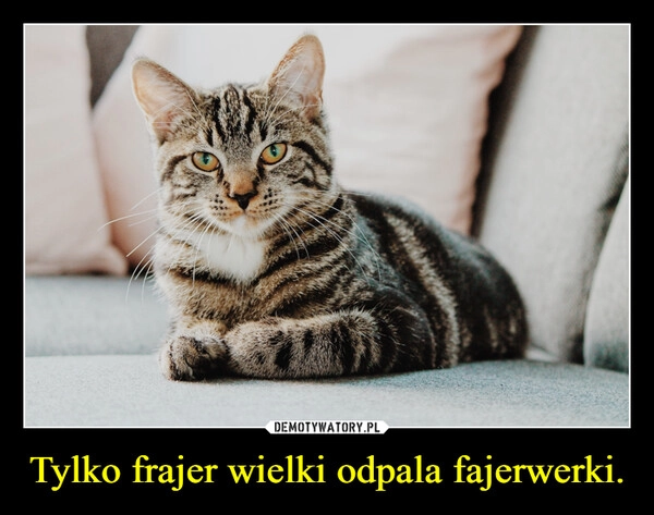 
    Tylko frajer wielki odpala fajerwerki.