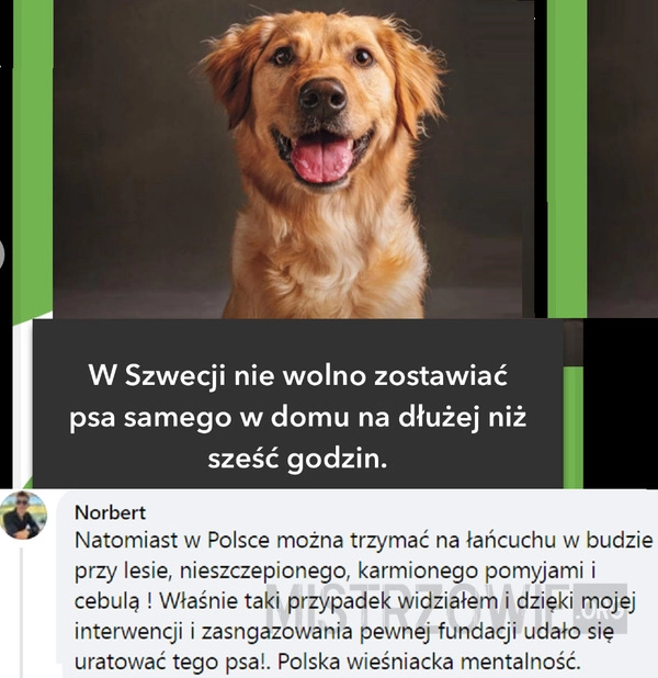 
    W Szwecji