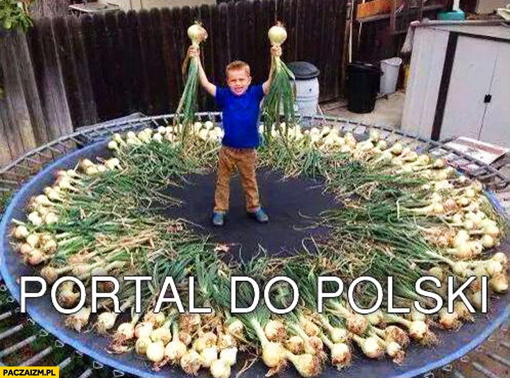 
    Portal do Polski cebula na trampolinie