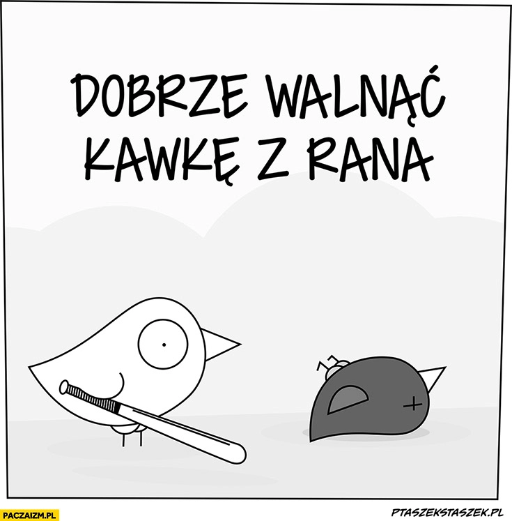 
    Dobrze walnąć kawkę z rana ptak walnął kijem