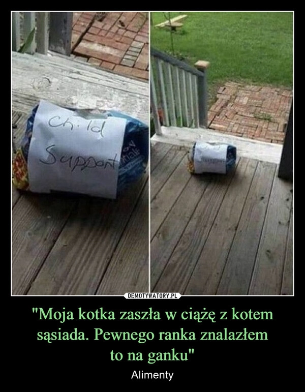 
    "Moja kotka zaszła w ciążę z kotem sąsiada. Pewnego ranka znalazłem
to na ganku"